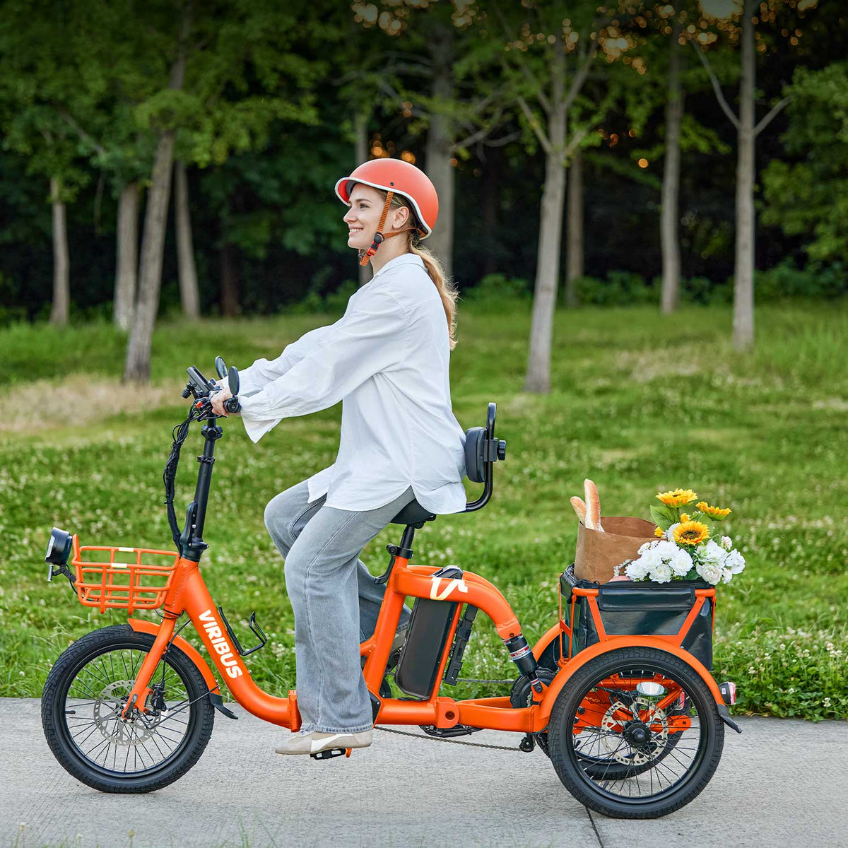 Viribus FC2 Folding Electric Tricycle
