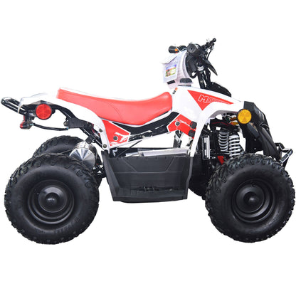 36V 1.0 kW Lead Acid ATV